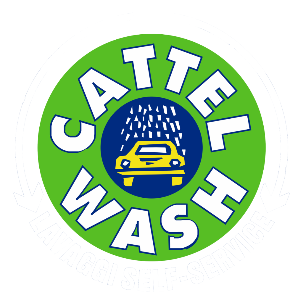 pulizia.car detailing.autolavaggio.cattelwash.Ferrara